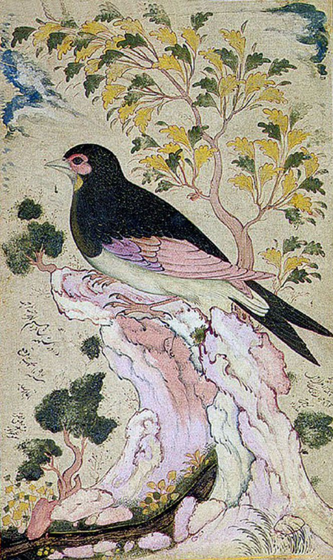 Flower and Nightingale