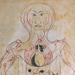 Anatomy Human 05 e1330275981272 150x150 کتاب تشریح منصور