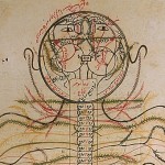 Anatomy Human 2 02 e1330399077787 150x150 کتاب تشریح منصور