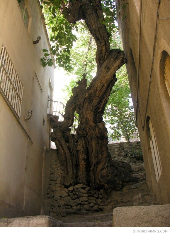 ده اوین ده اوین