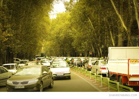 چنارهای ولیعصر