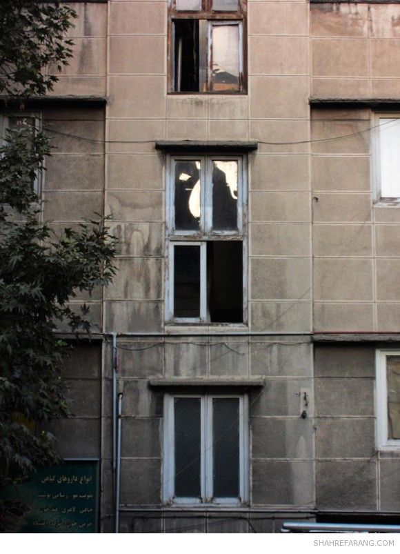 بین ادوارد براون و راهنما