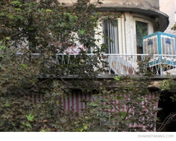 بالاتر از نصرت، روبروی کوچه قدر