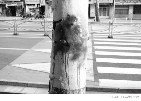 یادگاری های روی درخت های تهران