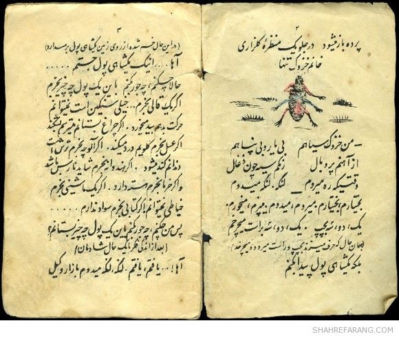 نمایشنامه ی «خانم خزوک» Lady Cockroach