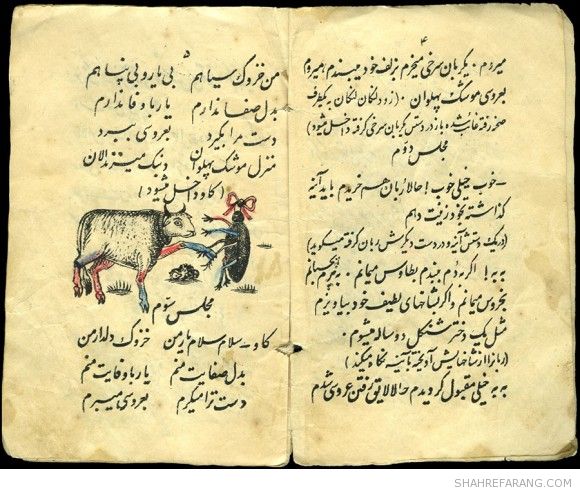 نمایشنامه ی «خانم خزوک» Lady Cockroach