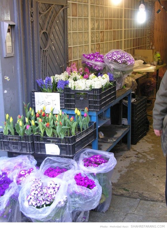 نوروز ۱۳۹۳، تجریش