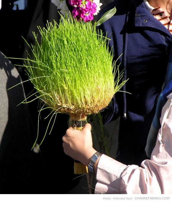 نوروز ۱۳۹۳، تجریش