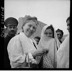 Mrs. Dreyfus Touring Southern Tehran