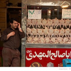 Poultry Shop, Molavi-Tehran