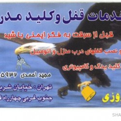 Iranian Business Card (4)