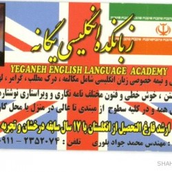 Iranian Business Card (6)