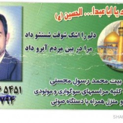 Iranian Business Card (10)
