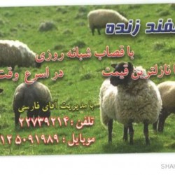 Iranian Business Card (15)