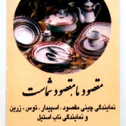 Iranian Business Card (27)