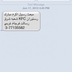 Iranian SMS Advertisements (20)