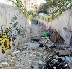 Graffiti on Tehran canal walls (3)