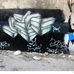 Graffiti on Tehran canal walls (9)