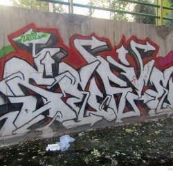 Graffiti on Tehran canal walls (18)