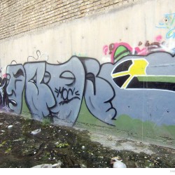 Graffiti on Tehran canal walls (20)