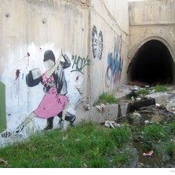 Graffiti on Tehran canal walls (23)