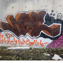 Graffiti on Tehran canal walls (27)