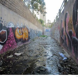Graffiti on Tehran canal walls (31)