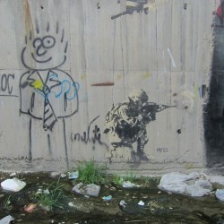 Graffiti on Tehran canal walls (34)