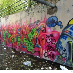 Graffiti on Tehran canal walls (46)