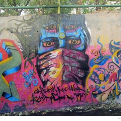 Graffiti on Tehran canal walls (55)