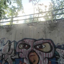 Graffiti on Tehran canal walls (61)