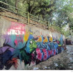 Graffiti on Tehran canal walls (65)