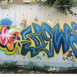 Graffiti on Tehran canal walls (72)