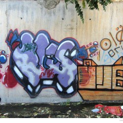 Graffiti on Tehran canal walls (73)