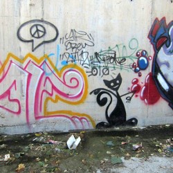 Graffiti on Tehran canal walls (74)