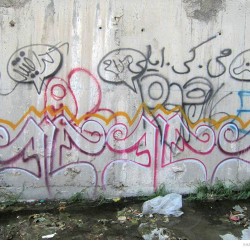Graffiti on Tehran canal walls (77)