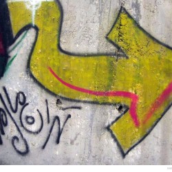 Graffiti on Tehran canal walls (79)